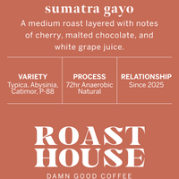 Sumatra Gayo Anaerobic Natural