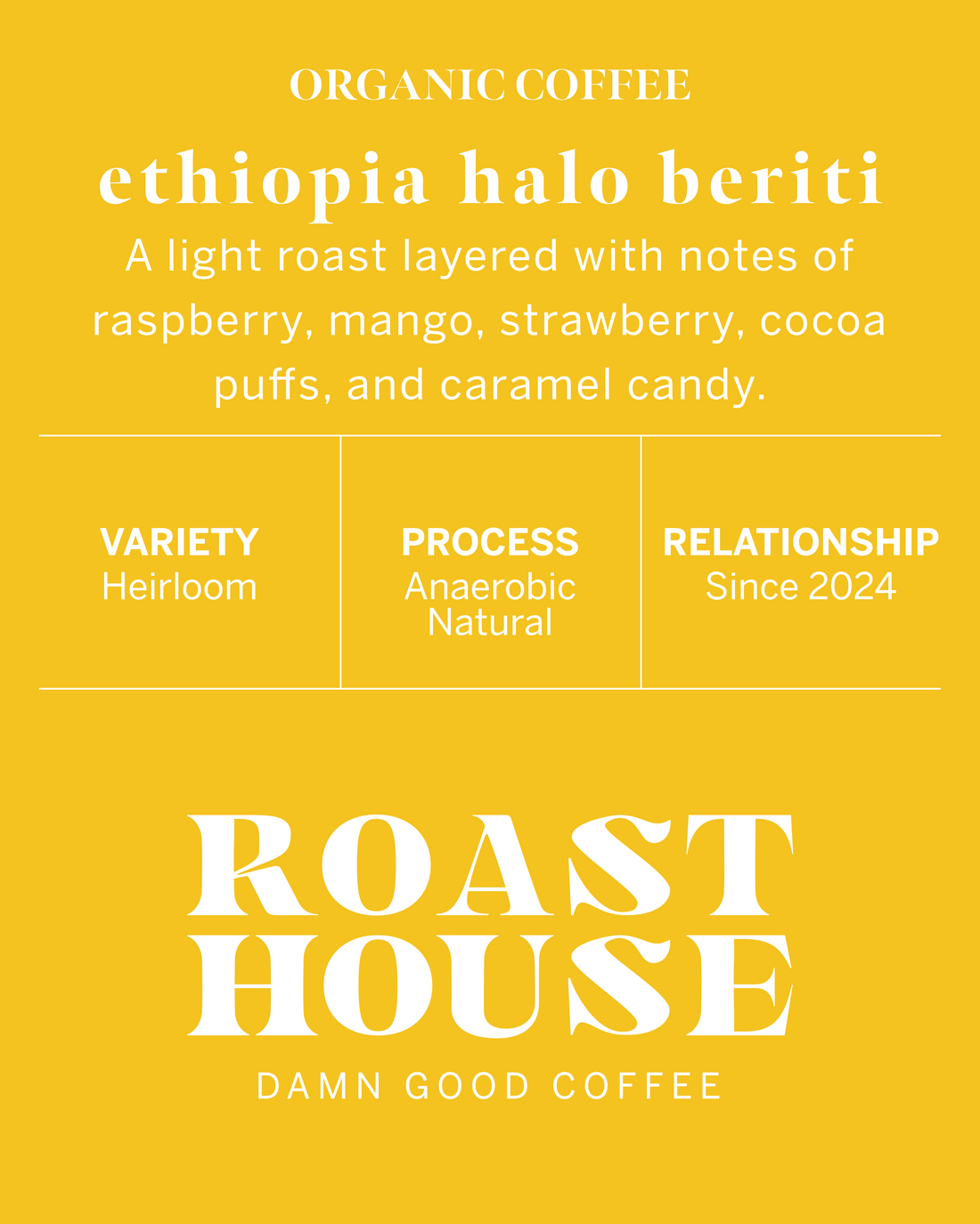 Ethiopia Anaerobic Natural Halo Beriti